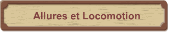 Allures et Locomotion
