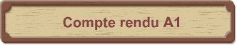 Compte rendu A1
