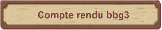 Compte rendu bbg3