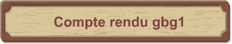 Compte rendu gbg1