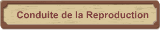 Conduite de la Reproduction