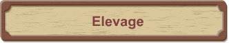 Elevage