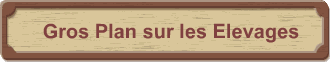 Gros Plan sur les Elevages