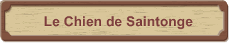 Le Chien de Saintonge