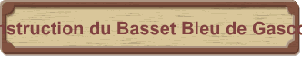Construction du Basset Bleu de Gascogne