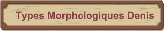 Types Morphologiques Denis